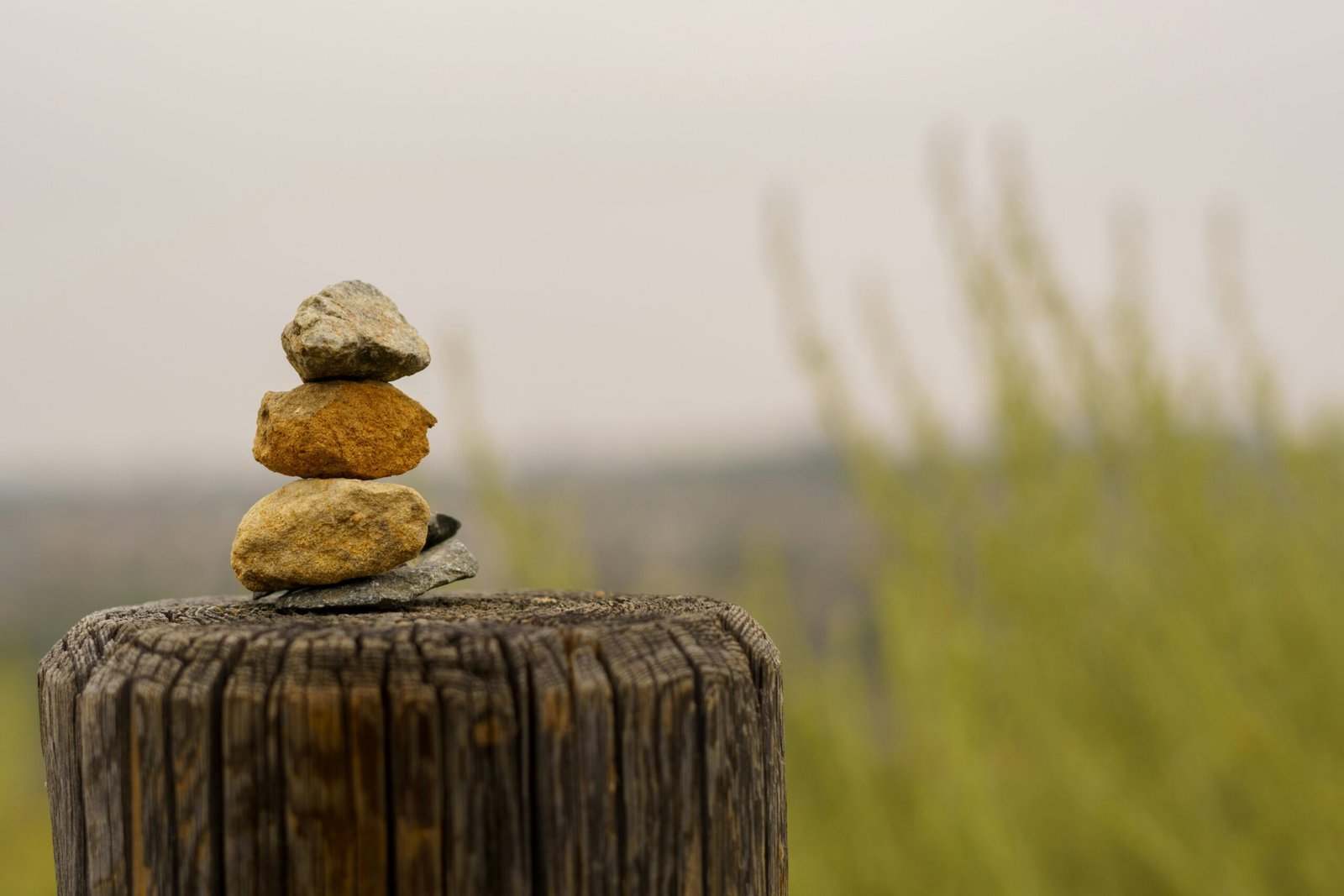 Hábitos e Rotina: O Segredo Para Uma Vida Mais Equilibrada
